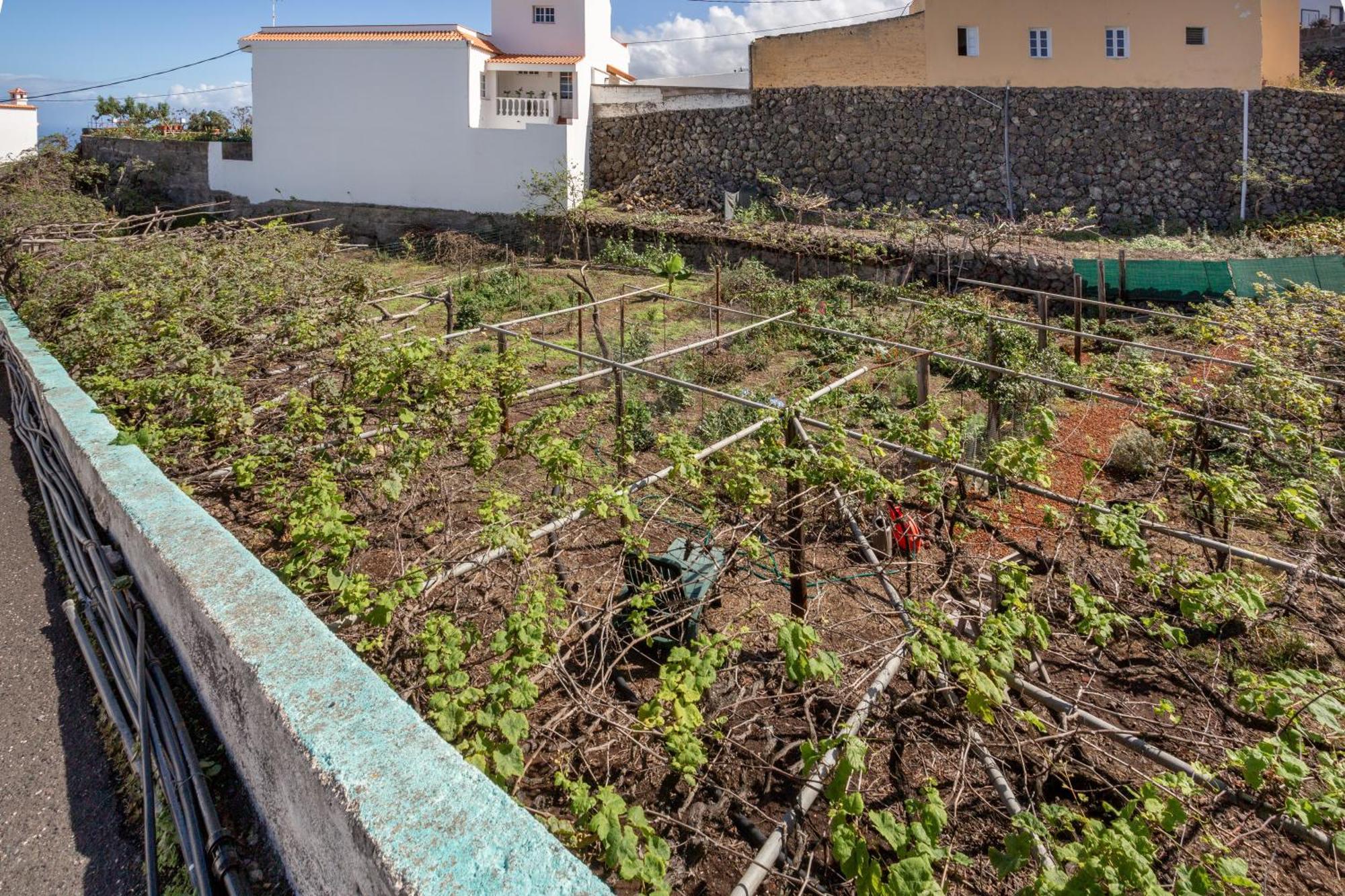 Un Jardin Al Mar Hotel Genoves Exterior photo